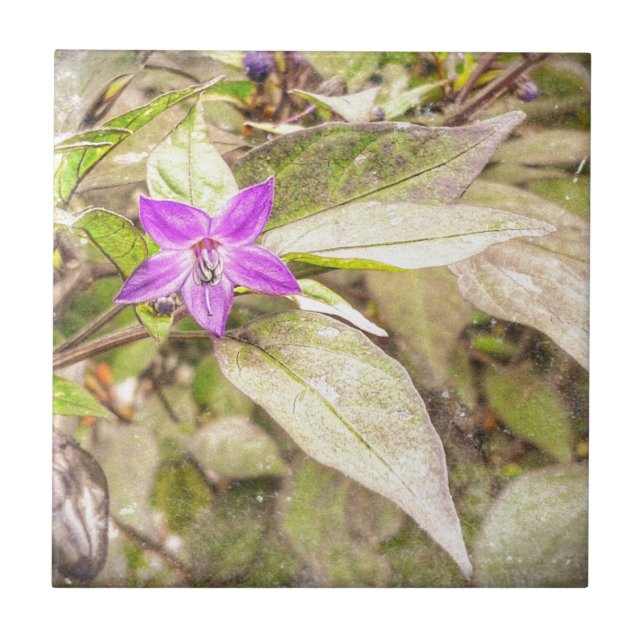 Azulejo Pimientos ornamentales (Frente)