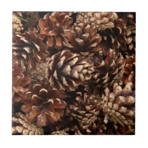 Azulejo Pine Cones Tile