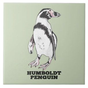 Azulejo Pingüino Humboldt