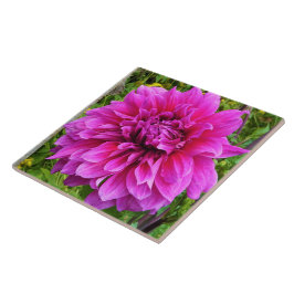 Azulejo Pink Dahlia Ceramic Tile