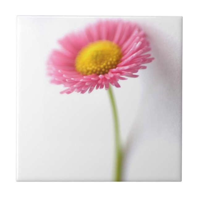 Azulejo Pink Daisy Ceramic Tile (Frente)