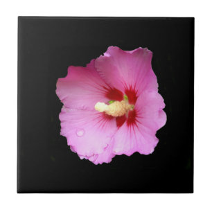Azulejo Pink Hibiscus Ceramic Tile