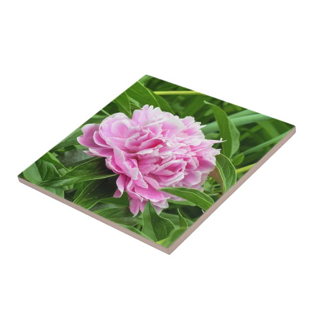 Azulejo Pink Peony (Lado)