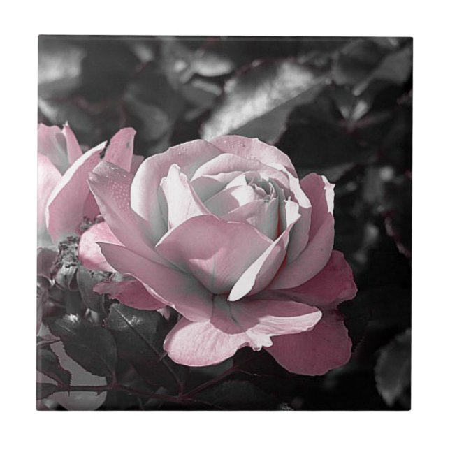 Azulejo Pink Rose Garden (Frente)