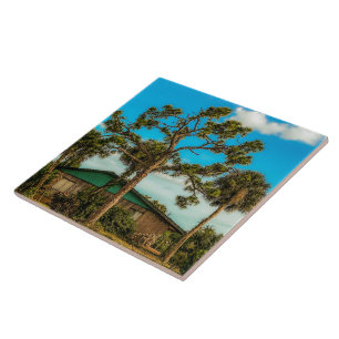 Azulejo Pinos y Palmeras
