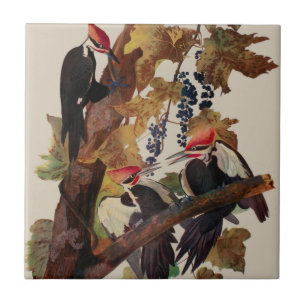 Azulejo Pintado de pájaro carpintero con basculante Audubo