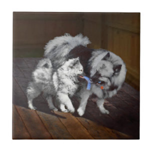 Azulejo Pintado Keeshond Playtime - Arte Perro Original.