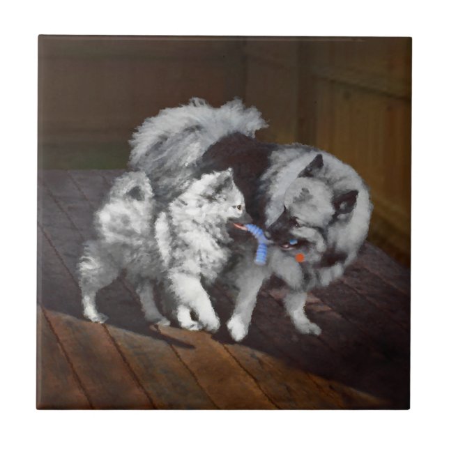 Azulejo Pintado Keeshond Playtime - Arte Perro Original. (Frente)