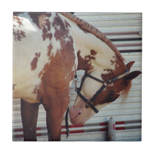 Azulejo Pinte el caballo