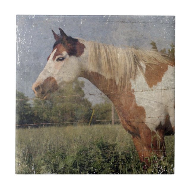Azulejo Pinto Horse Grunge (Frente)