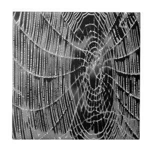 Azulejo Pintura Abstracta De Un Cobarde Blanco Gris Sobre