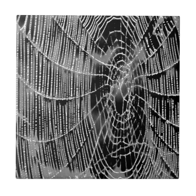 Azulejo Pintura Abstracta De Un Cobarde Blanco Gris Sobre  (Frente)