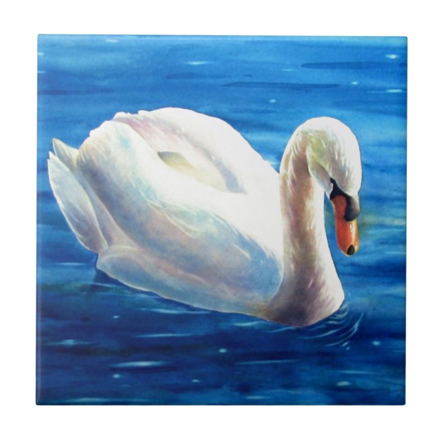 Azulejo Pintura de acuarela de cisne blanco, aves acuática (Frente)