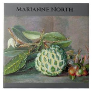 Azulejo Pintura de Apple Marianne North Custard
