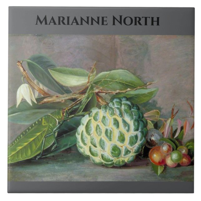 Azulejo Pintura de Apple Marianne North Custard (Frente)