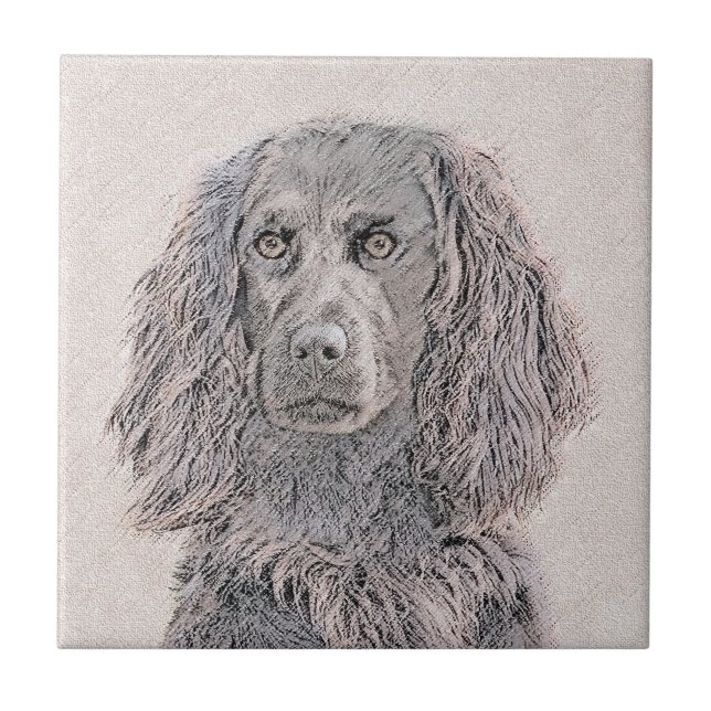 Azulejo Pintura de Boykin Spaniel - Arte de Perro Original (Frente)