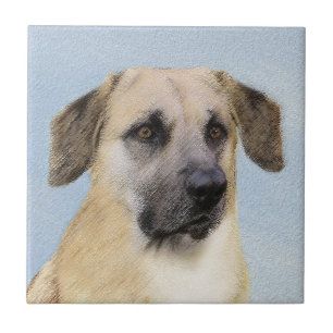 Azulejo Pintura de Chinook (Orejas caídas) - Arte Perro Or