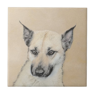 Azulejo Pintura de Chinook (Orejas puntiagudas) - Arte Per