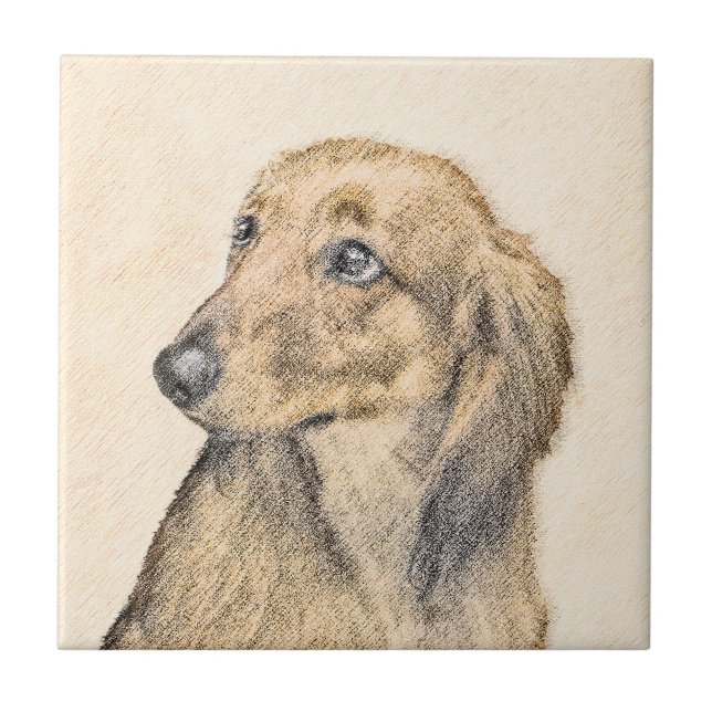 Azulejo Pintura de Dachshund (de cabello largo) - Arte ori (Frente)