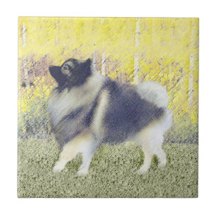 Azulejo Pintura de Keeshond Aspen - Arte Perro Original Cu