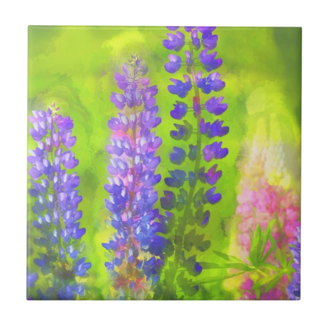 Azulejo Pintura de Lupine - Arte original de las flores (Frente)