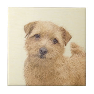 Azulejo Pintura de Norfolk Terrier - Arte Perro Original