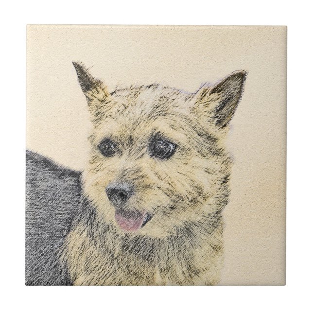 Azulejo Pintura de Norwich Terrier - Arte de Perro Origina (Frente)