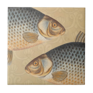 Azulejo pintura de pesca de carpa dibujo de agua dulce 
