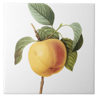 Azulejo Pintura grande del melocotón del vintage de