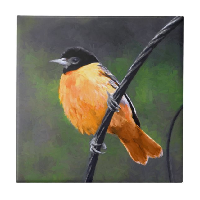 Azulejo Pintura Oriole - Arte original de aves (Frente)