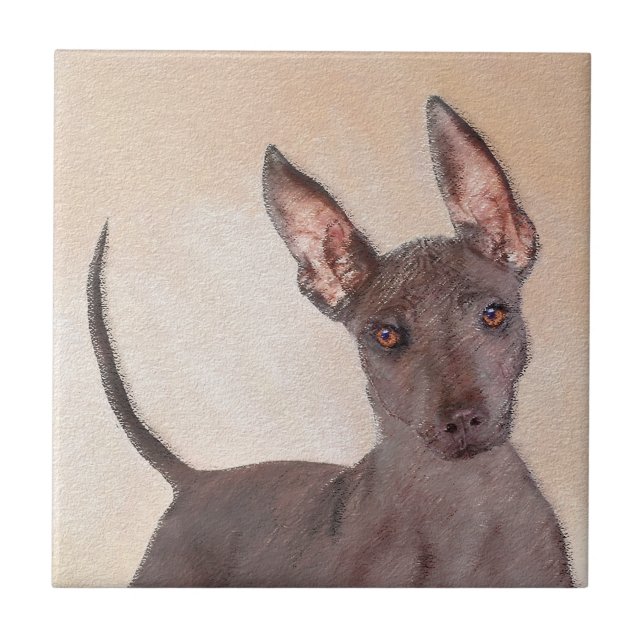 Azulejo Pintura Xoloitzcuintli - Arte Perro Original Cuto (Frente)