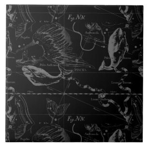 Azulejo Pisces Constellation Hevelius 1690 en negro