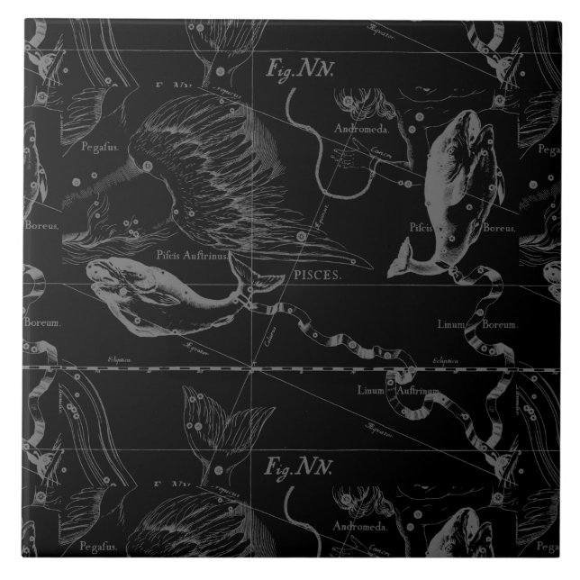Azulejo Pisces Constellation Hevelius 1690 en negro (Frente)