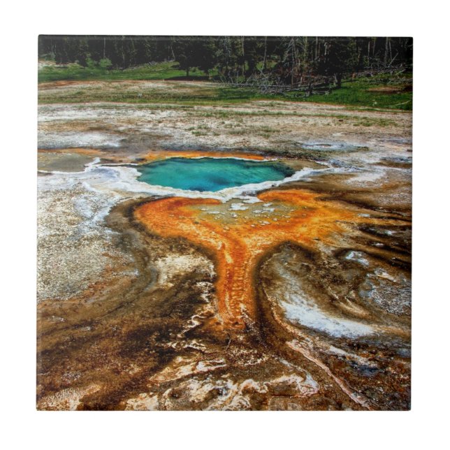 Azulejo Piscina la termal de Yellowstone (Frente)