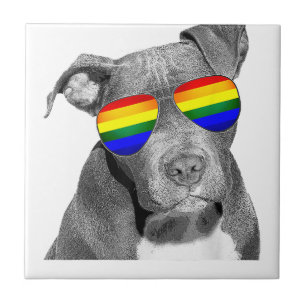 Azulejo Pitbull Gay Pride Ropa de Perro LGBT Graciosa Rega