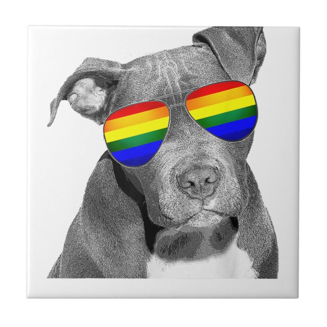Azulejo Pitbull Gay Pride Ropa de Perro LGBT Graciosa Rega (Frente)