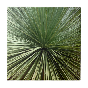 Azulejo Planta Australiana - abstracta