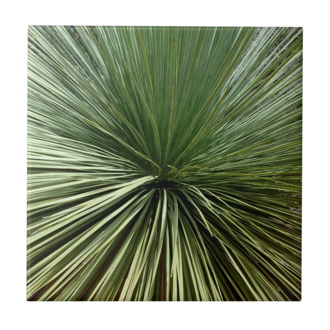 Azulejo Planta Australiana - abstracta (Frente)