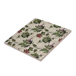 Azulejo Planta de Brujas Apothecary | Hierbas botánicas de