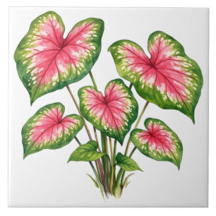 Azulejo Planta de Caladium Rosa Vibrante Acuarela