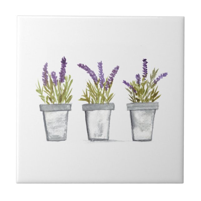 Azulejo Planta de hierbas de lavanda (Frente)