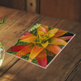 Azulejo Planta Floral de Guzmania Bromeliad