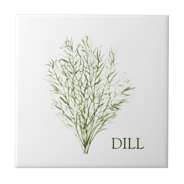 Azulejo Planta verde culinaria Dill Herb Greenery Kitchen (Frente)