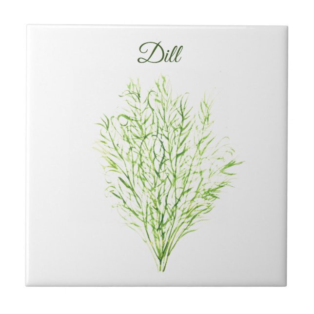 Azulejo Planta verde culinaria Dill Herb Greenery Kitchen (Frente)