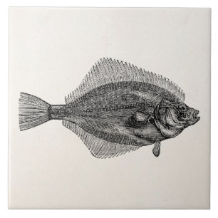 Azulejo Plantilla acuática de los pescados de los pescados