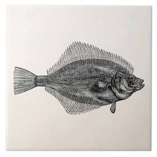 Azulejo Plantilla acuática de los pescados de los pescados (Frente)