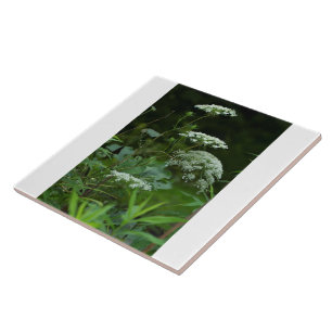 Azulejo plantilla de mosaico