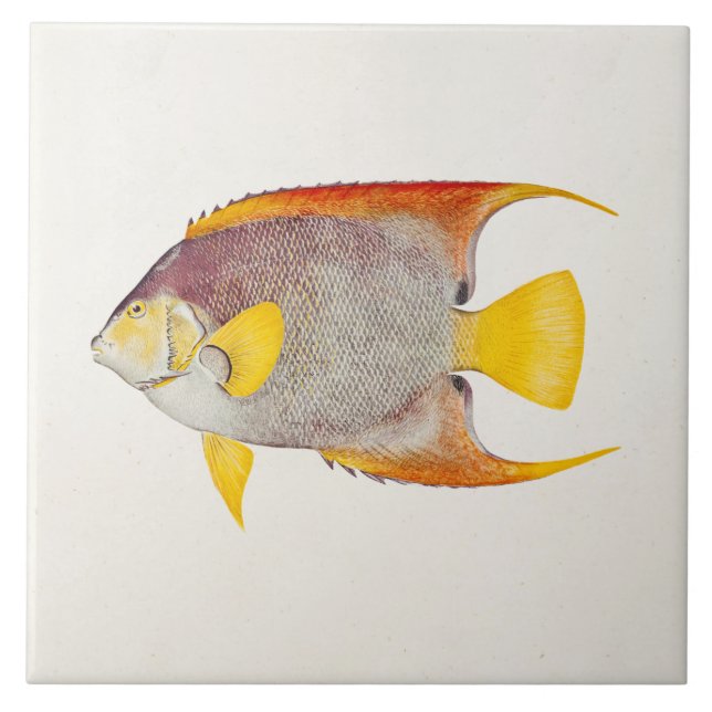 Azulejo Plantilla hawaiana de la impresión de la (Frente)