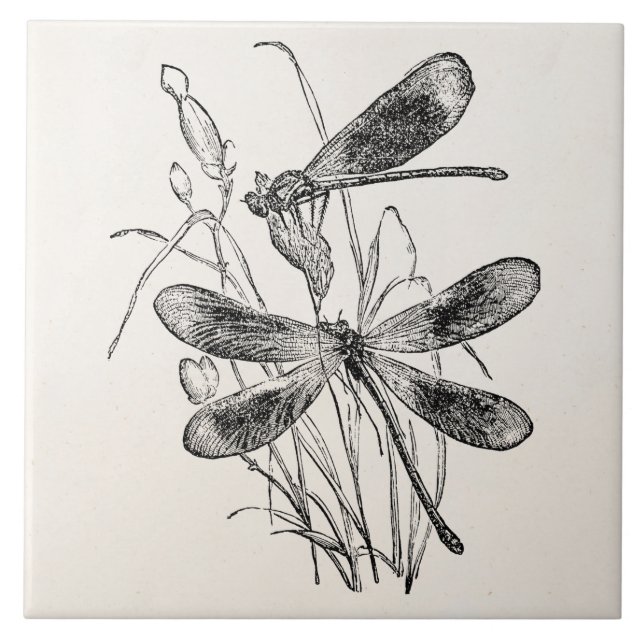 Azulejo Plantilla personalizada libélula de la Virgen del (Frente)