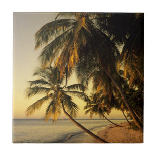 Azulejo Playa al atardecer, Trinidad